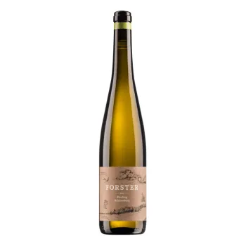 WEINGUT FORSTER | Burg Layer Schlossberg Riesling 2019 trocken
